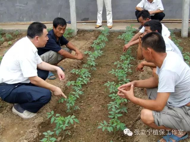 微生物菌劑的使用方法是什么？注意事項(xiàng)有哪些